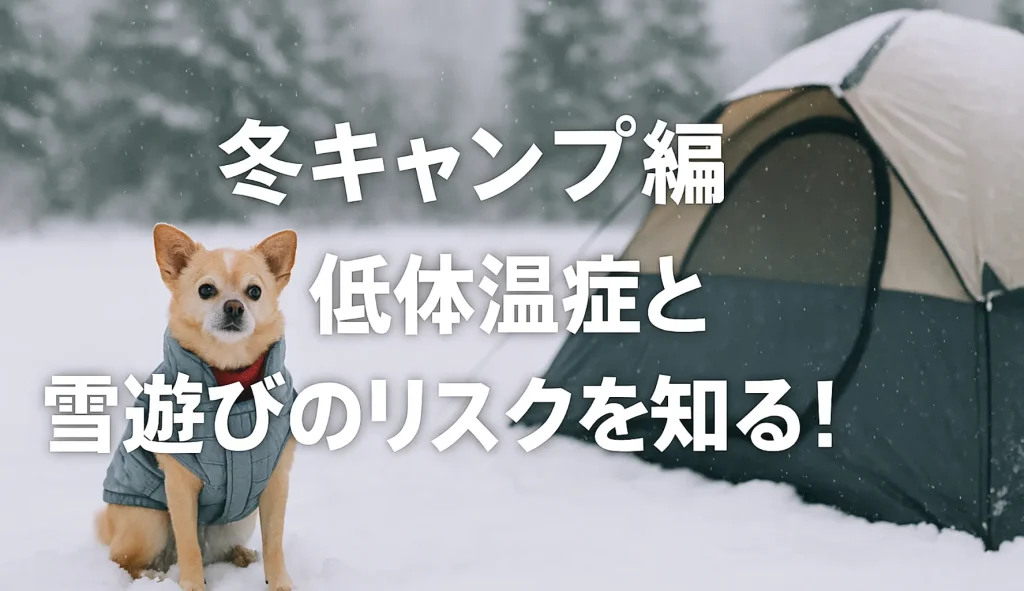 冬キャンプ編:低体温症と雪遊びのリスクを知る!