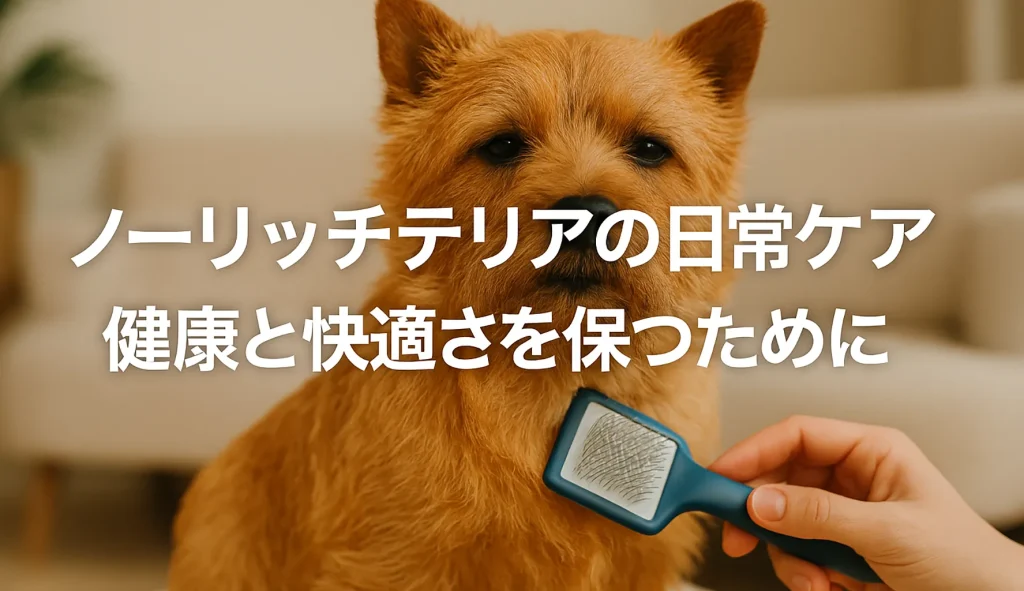 ノーリッチテリアの日常ケア|健康と快適さを保つために