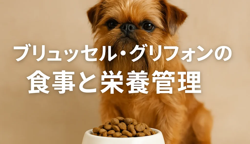 ブリュッセル・グリフォンの食事と栄養管理