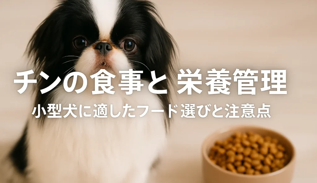 チンの食事と栄養管理 ― 小型犬に適したフード選びと注意点