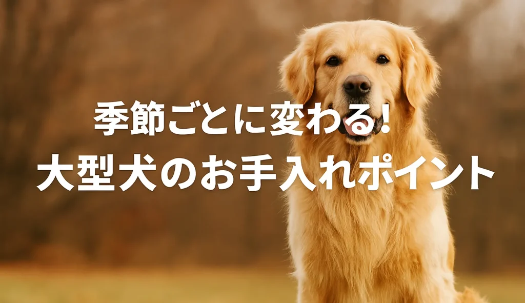 季節ごとに変わる!大型犬のお手入れポイント