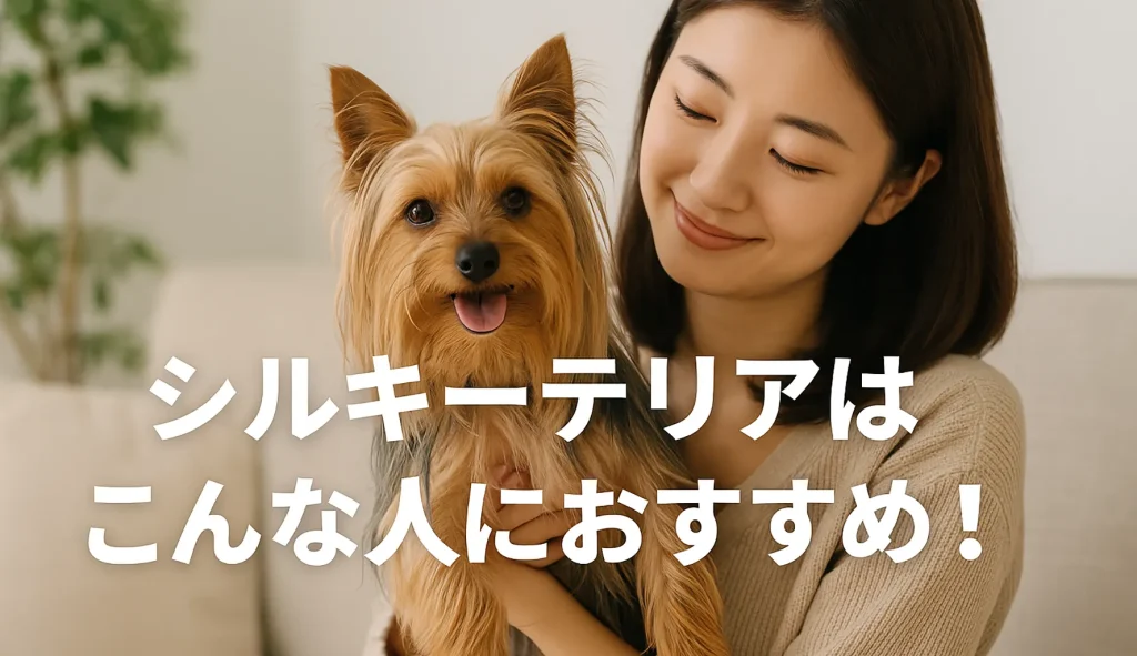 シルキーテリアはこんな人におすすめ!