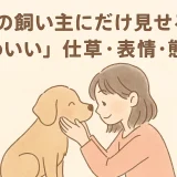 【最新】犬の飼い主にだけ見せる「かわいい」仕草･表情･態度