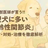 【最新】獣医師が言う!!大型犬に多い「加齢性関節炎」の予防･対処･治療を徹底解析