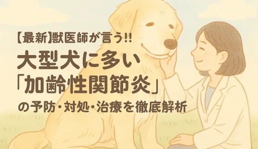 【最新】獣医師が言う!!大型犬に多い「加齢性関節炎」の予防･対処･治療を徹底解析