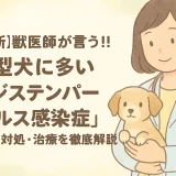 【最新】獣医師が言う!!小型犬に多い「犬ジステンパーウイルス感染症」の予防･対処･治療を徹底解析