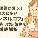【最新】獣医師が言う!!小型犬に多い「ケンネルコフ（犬伝染性気管支炎）」の予防･対処･治療を徹底解析