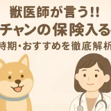 【最新】獣医師が言う!!「ワンチャンの保険入るべき？」の時期・おすすめを徹底解析
