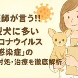 【最新】獣医師が言う!!小型犬に多い「犬コロナウイルス感染症」の予防･対処･治療を徹底解析