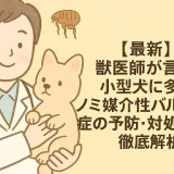 【最新】獣医師が言う!!小型犬に多い「ノミ媒介性バルトネラ症」の予防･対処･治療を徹底解析