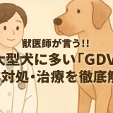 最新】獣医師が言う!!大型犬に多い「GDV」の予防･対処･治療を徹底解析