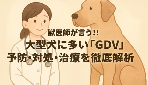 最新】獣医師が言う!!大型犬に多い「GDV」の予防･対処･治療を徹底解析