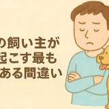犬の飼い主が起こす最もよくある間違い