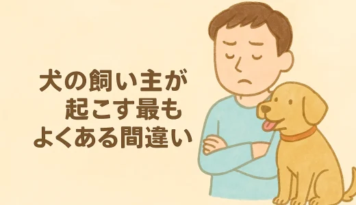 犬の飼い主が起こす最もよくある間違い