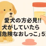 愛犬の方必見!!犬がしていたら「超危険なおしっこ」5選 健康状態を測るために確認すべきポイント!!
