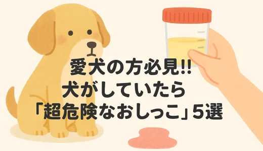愛犬の方必見!!犬がしていたら「超危険なおしっこ」5選 健康状態を測るために確認すべきポイント!!