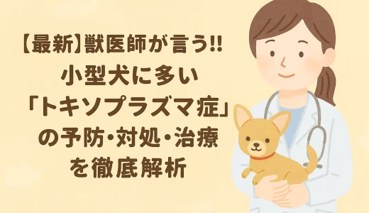 【最新】獣医師が言う!!小型犬に多い「トキソプラズマ症」の予防･対処･治療を徹底解析