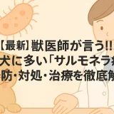 最新】獣医師が言う!!小型犬に多い「サルモネラ症」の予防･対処･治療を徹底解析