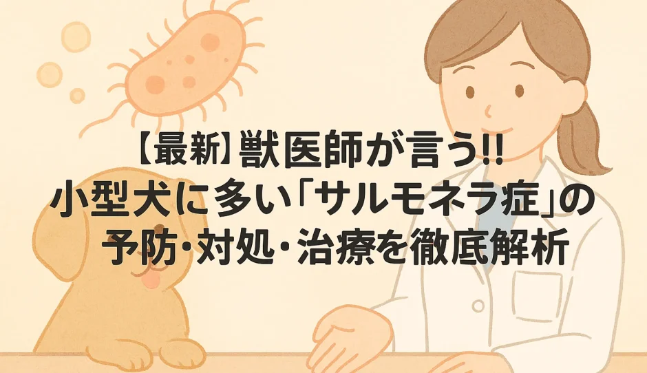 最新】獣医師が言う!!小型犬に多い「サルモネラ症」の予防･対処･治療を徹底解析