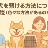愛犬を預ける方法について解説｜安心して任せるための選択肢とポイント