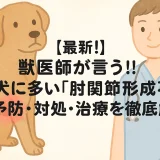 最新】獣医師が言う!!大型犬に多い「肘関節形成不全」の予防･対処･治療を徹底解析