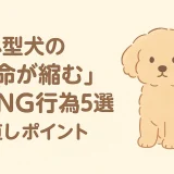 小型犬の「寿命が縮む」絶対NG行為5選 見直すべき生活習慣を徹底解説