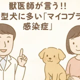 【最新】獣医師が言う!!小型犬に多い「マイコプラズマ感染症」の予防･対処･治療を徹底解析