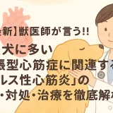 【最新】獣医師が言う!!大型犬に多い「拡張型心筋症に関連するウイルス性心筋炎」の予防･対処･治療を徹底解析