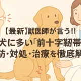 【最新】獣医師が言う!!大型犬に多い「前十字靱帯断裂」の予防･対処･治療を徹底解析
