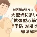 【最新】獣医師が言う!!大型犬に多い「拡張型心筋症」の予防･対処･治療を徹底解析