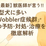 最新】獣医師が言う!!大型犬に多い「Wobbler症候群」の予防･対処･治療を徹底解析