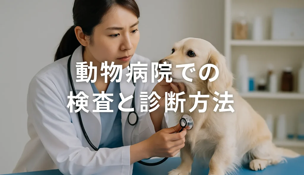 動物病院での検査と診断方法