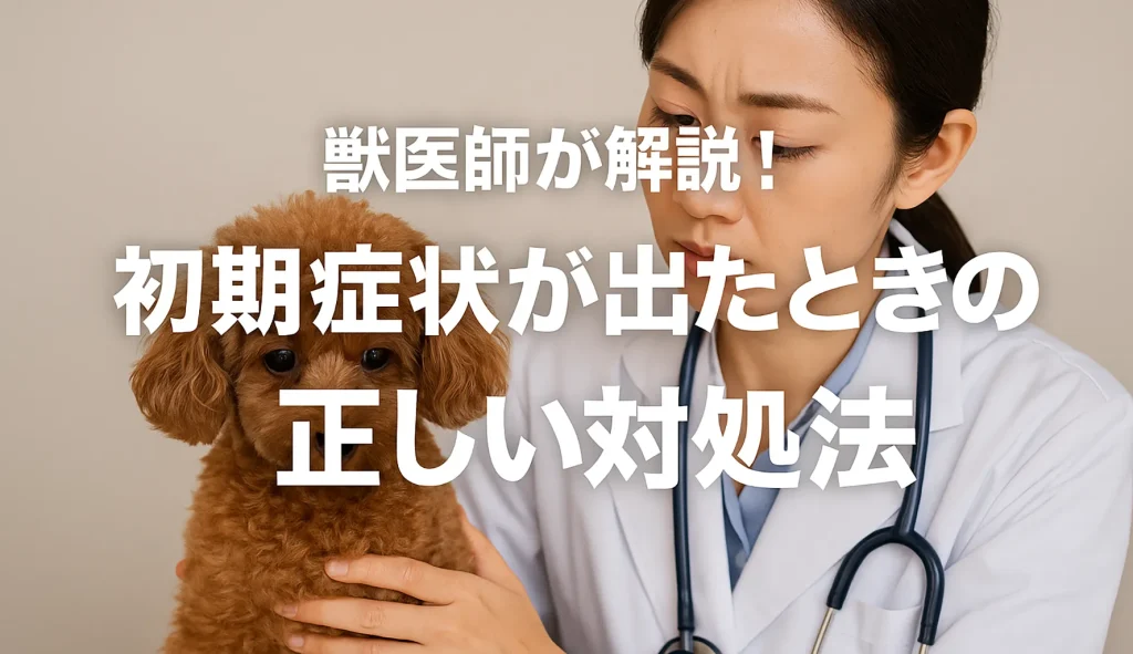 獣医師が解説!初期症状が出たときの正しい対処法
