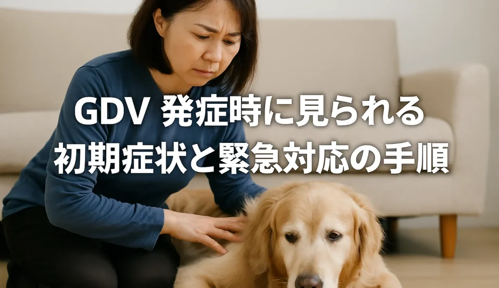 GDV発症時に見られる初期症状と緊急対応の手順