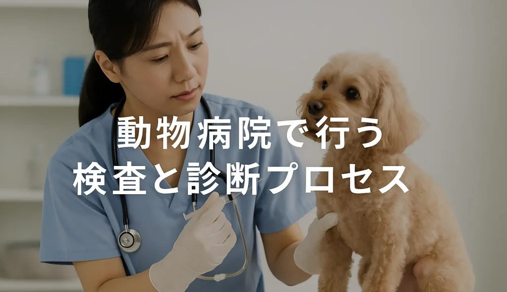 動物病院で行う検査と診断プロセス