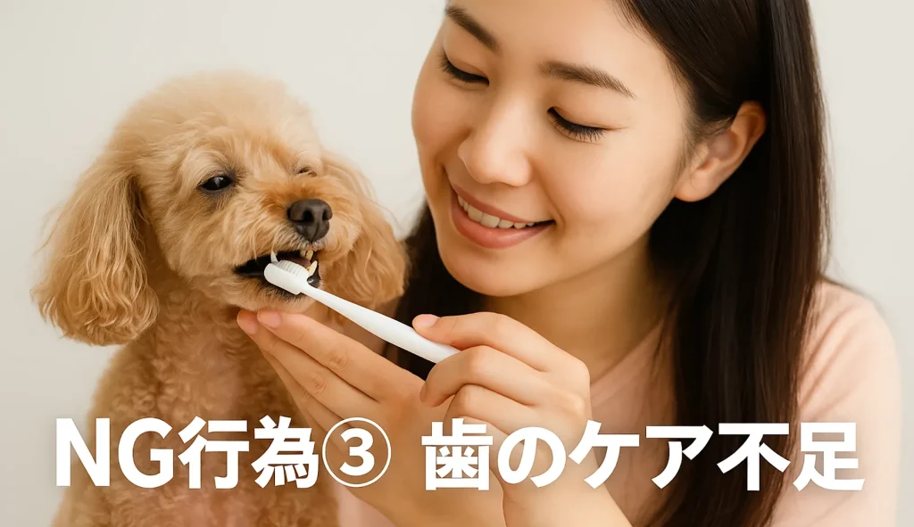 NG行為③ 歯のケア不足