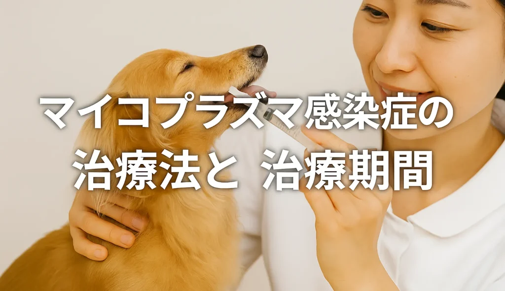 マイコプラズマ感染症の治療法と治療期間
