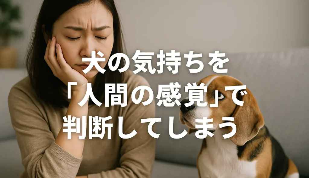 犬の気持ちを「人間の感覚」で判断してしまう