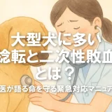 大型犬に多い「胃捻転と二次性敗血症」とは？獣医が語る命を守る緊急対応マニュアル