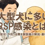 大型犬に多いMRSP感染とは？原因・症状・予防・治療を獣医師が解説【最新情報】