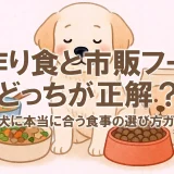 手作り食と市販フード、どっちが正解？愛犬に本当に合う食事の選び方ガイド
