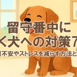 留守番中に鳴く犬への対策7選｜分離不安やストレスを減らす方法とは？