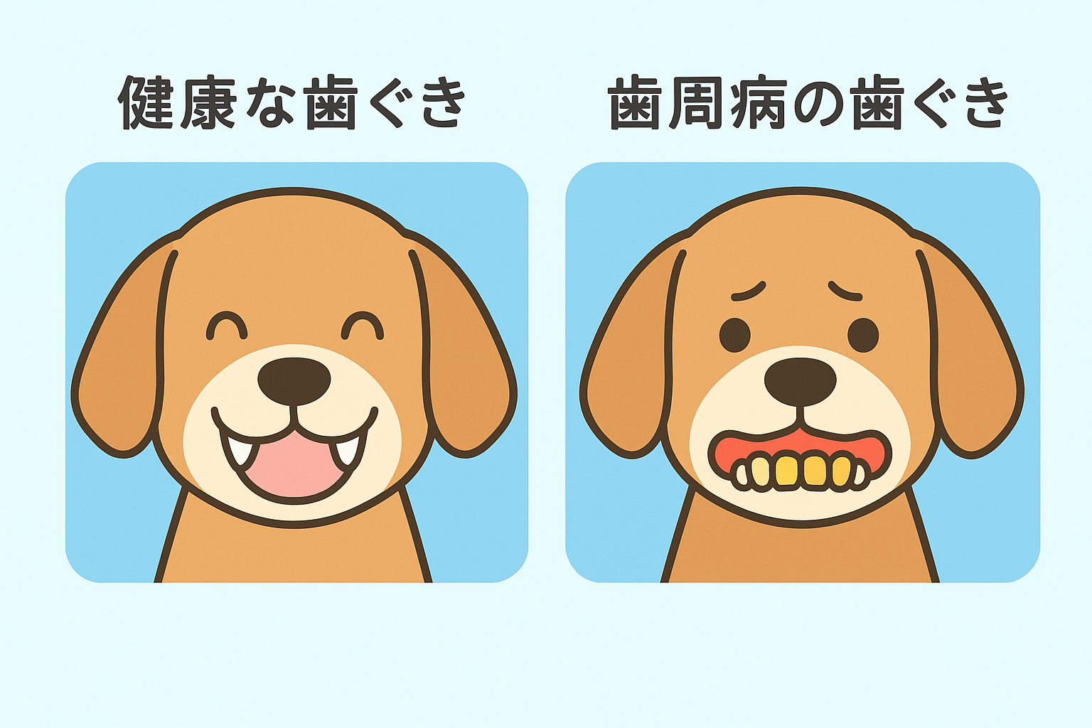 A flat, cute, bright, well-lit Japanese pet-blog infographic illustration comparing healthy dog teet